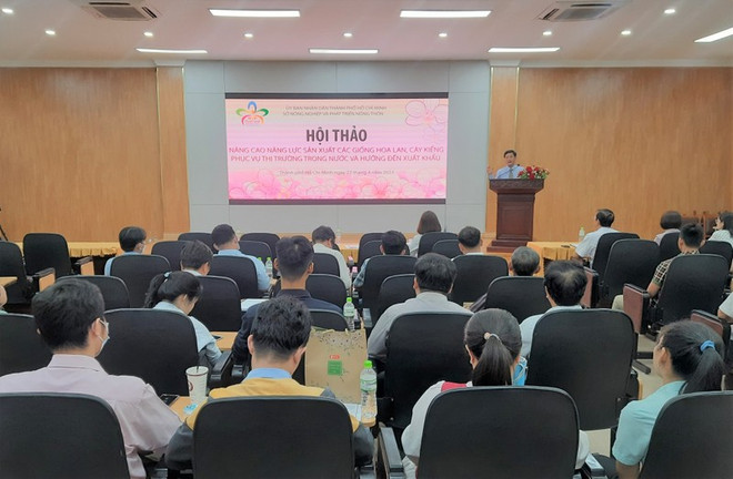 Ciudad Ho Chi Minh mejora capacidad de producción de flores y plantas ornamentales para exportación ảnh 2 Ciudad Ho Chi Minh mejora capacidad de producción de flores y plantas ornamentales para exportación ảnh 2