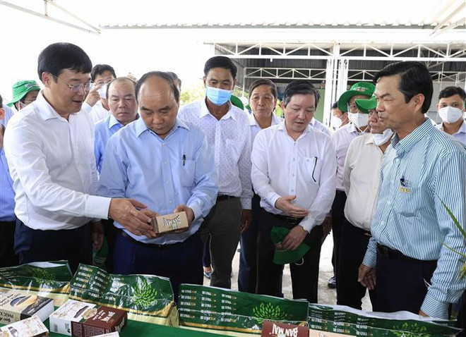 Presidente realiza visita de trabajo a la provincia deltaica de Dong Thap ảnh 1 Presidente realiza visita de trabajo a la provincia deltaica de Dong Thap ảnh 1