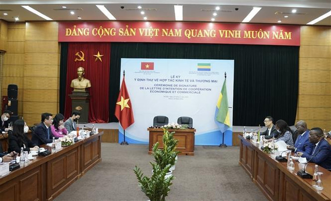 Vietnam promueve cooperación económica y comercial con Gabón ảnh 2
