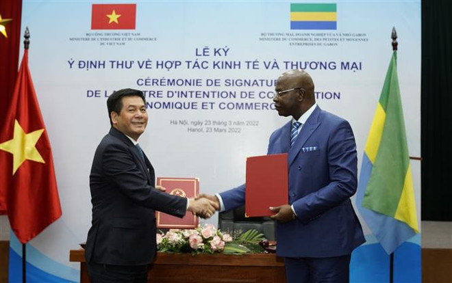 Vietnam promueve cooperación económica y comercial con Gabón ảnh 1 Vietnam promueve cooperación económica y comercial con Gabón ảnh 1