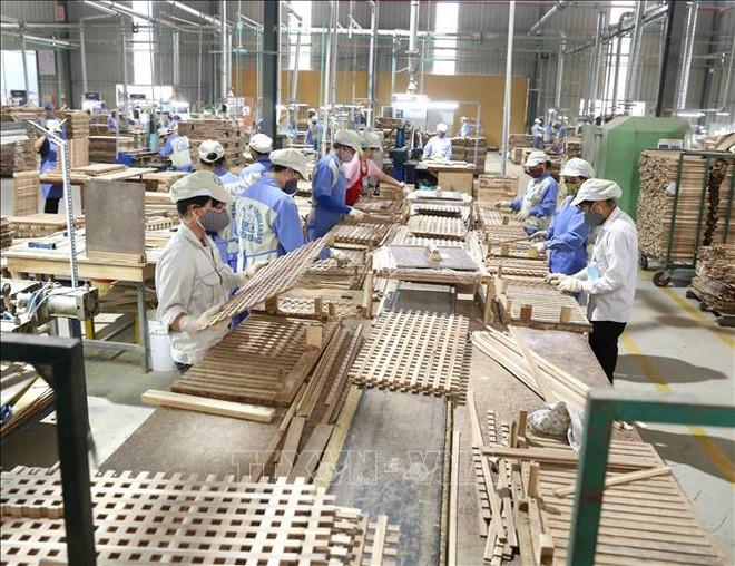 Buscan soluciones de desarrollo duradero para sector maderero de Vietnam ảnh 1 Buscan soluciones de desarrollo duradero para sector maderero de Vietnam ảnh 1