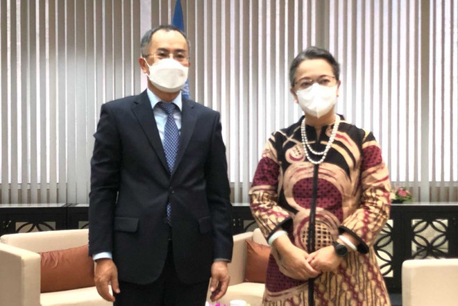 Comisión de la ONU otorga importancia a las relaciones con Vietnam ảnh 3 Comisión de la ONU otorga importancia a las relaciones con Vietnam ảnh 3