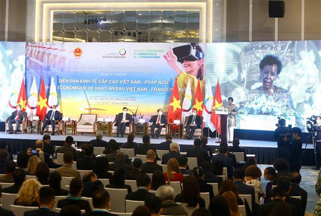 Países francófonos debaten en Vietnam cooperación en esfera agrícola y de energía renovable ảnh 2 Países francófonos debaten en Vietnam cooperación en esfera agrícola y de energía renovable ảnh 2