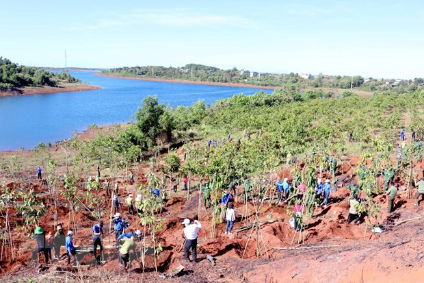 📝 Enfoque: Vietnam persigue camino "verde" por un futuro sostenible ảnh 5 📝 Enfoque: Vietnam persigue camino "verde" por un futuro sostenible ảnh 5
