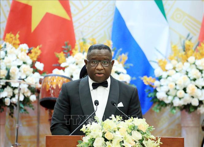 Presidente de Sierra Leona concluye visita oficial a Vietnam ảnh 1