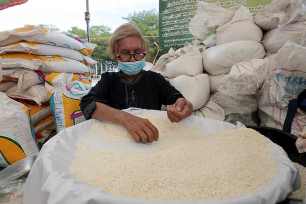 Exportaciones de arroz de Tailandia prevén superar ocho millones de toneladas ảnh 1 Exportaciones de arroz de Tailandia prevén superar ocho millones de toneladas ảnh 1