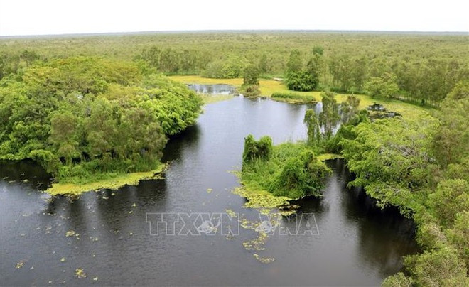 Parque nacional U Minh Thuong, destino de ecoturismo hospitalario en Vietnam ảnh 1