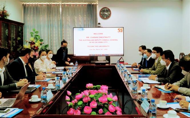 Universidad de Can Tho coopera con socios australianos ảnh 1 Universidad de Can Tho coopera con socios australianos ảnh 1