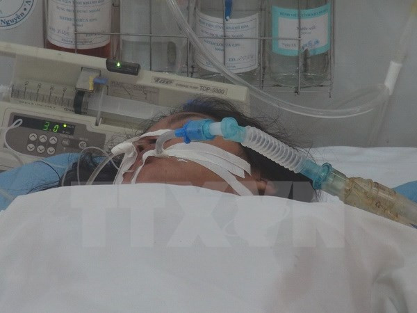 Malasia y Tailandia ensayan contra gripe aviar ảnh 1 Malasia y Tailandia ensayan contra gripe aviar ảnh 1