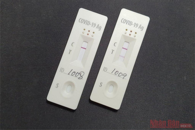 Con alta sensibilidad y especificidad kit de prueba rápida de COVID-19 "hecho en Vietnam" ảnh 1 Con alta sensibilidad y especificidad kit de prueba rápida de COVID-19 "hecho en Vietnam" ảnh 1