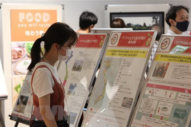 Ciudad japonesa promueve imagenes de Vietnam en vísperas de Juegos Paralímpicos ảnh 3