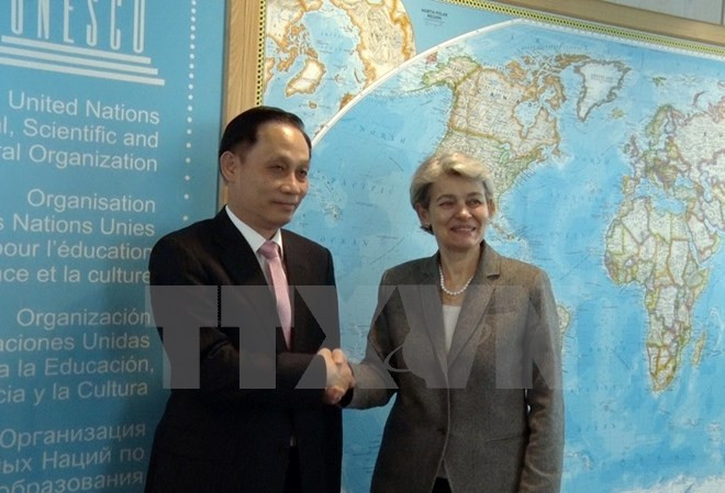 UNESCO destaca aportes prácticas de Vietnam ảnh 1 UNESCO destaca aportes prácticas de Vietnam ảnh 1