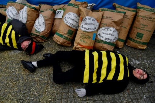 Un tribunal en La Haya responsabiliza a Monsanto de ecocidio ảnh 1 Un tribunal en La Haya responsabiliza a Monsanto de ecocidio ảnh 1
