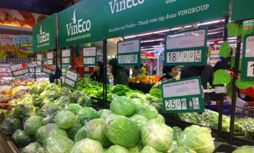 Respaldan a campesinos vietnamitas en producción agrícola limpia ảnh 1 Respaldan a campesinos vietnamitas en producción agrícola limpia ảnh 1