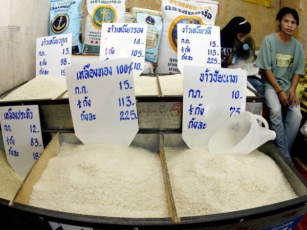 En alza exportaciones arroceras de Tailandia ảnh 1 En alza exportaciones arroceras de Tailandia ảnh 1