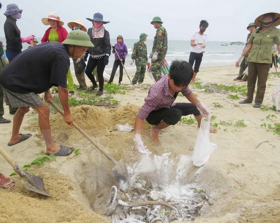 Exigen transparencia de compensación a personas afectadas por incidente ambiental en Vietnam ảnh 1 Exigen transparencia de compensación a personas afectadas por incidente ambiental en Vietnam ảnh 1
