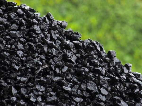 Vietnam y Japón cooperan en el desarrollo de producción de carbón limpio ảnh 1 Vietnam y Japón cooperan en el desarrollo de producción de carbón limpio ảnh 1