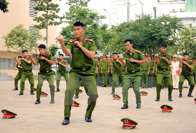 Intensifican cooperación Vietnam - Laos en lucha contra crímenes ảnh 1