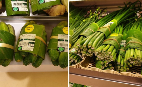 Vietnam se esfuerza por eliminar residuos plásticos ảnh 1 Vietnam se esfuerza por eliminar residuos plásticos ảnh 1