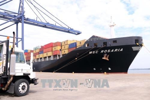 Puertos marítimos de Vietnam reciben grandes buques en el Tet ảnh 1 Puertos marítimos de Vietnam reciben grandes buques en el Tet ảnh 1