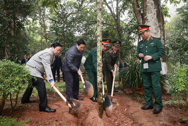 Premier vietnamita lanza siembra de árboles por motivo del Tet 2023 ảnh 3