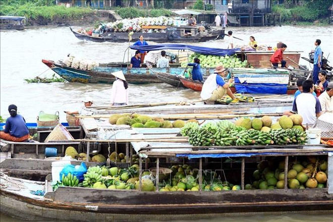 Mercado flotante, destino interesante para experimentar la vida en delta de Mekong ảnh 1 Mercado flotante, destino interesante para experimentar la vida en delta de Mekong ảnh 1