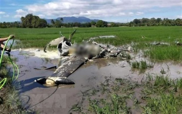 Dos muertos al estrellarse un avión militar de Filipinas ảnh 1