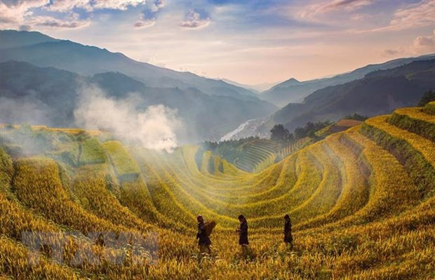 Terrazas de arroz, paisaje majestuoso del Noroeste de Vietnam ảnh 1 Terrazas de arroz, paisaje majestuoso del Noroeste de Vietnam ảnh 1