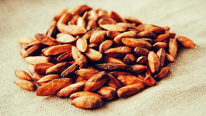 Con Dao maravilla con mermelada de semillas de almendro malabar, una especialidad típica ảnh 1 Con Dao maravilla con mermelada de semillas de almendro malabar, una especialidad típica ảnh 1