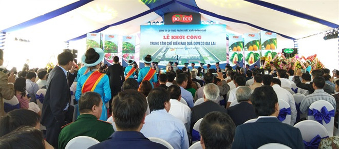 Emprenden construcción de mayor centro de procesamiento de frutas de Vietnam ảnh 1