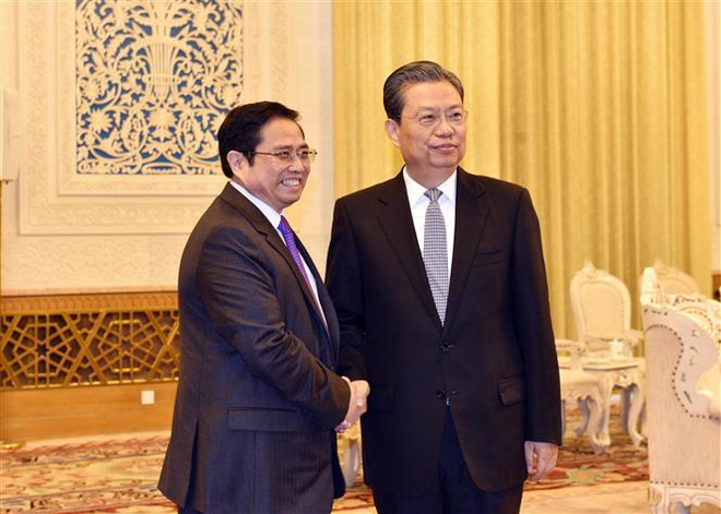 Alto funcionario chino subraya nexos con Partido Comunista de Vietnam ảnh 1