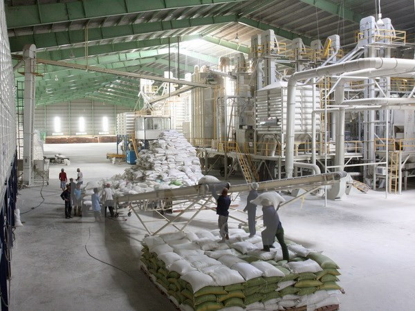 Reportan señales positivas para exportación de arroz de Vietnam en 2018 ảnh 1  Reportan señales positivas para exportación de arroz de Vietnam en 2018 ảnh 1
