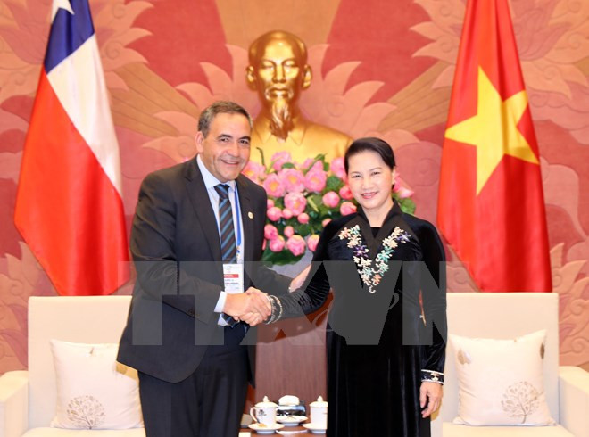Chile confirma prioridad de impulsar cooperación con Vietnam ảnh 1 Chile confirma prioridad de impulsar cooperación con Vietnam ảnh 1