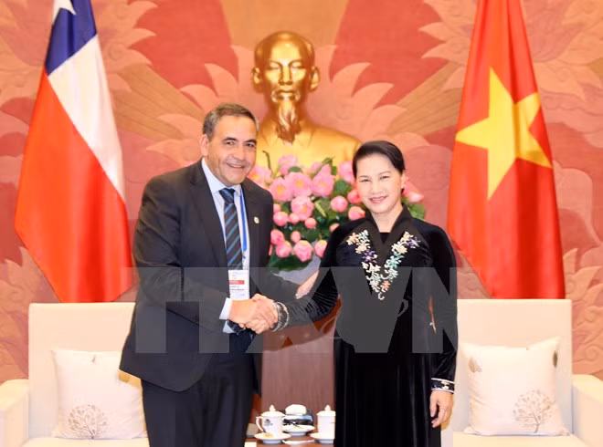 Chile confirma prioridad de impulsar cooperación con Vietnam ảnh 1