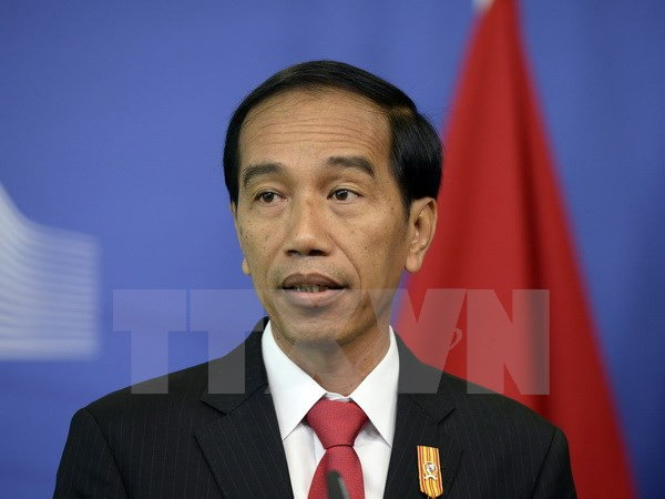 Indonesia llama a esfuerzos globales contra pesca ilegal ảnh 1 Indonesia llama a esfuerzos globales contra pesca ilegal ảnh 1