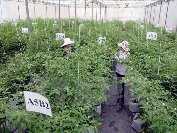 Recomiendan a empresas vietnamitas establecer plan a largo plazo ảnh 1 Recomiendan a empresas vietnamitas establecer plan a largo plazo ảnh 1