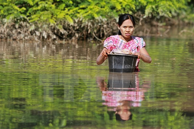 ASEAN brinda asistencia a víctimas de inundaciones en Myanmar ảnh 1 ASEAN brinda asistencia a víctimas de inundaciones en Myanmar ảnh 1