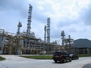 Inversión vietnamita en extracción de sal de roca ảnh 1  Inversión vietnamita en extracción de sal de roca ảnh 1