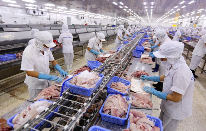 Crecerán 40 por ciento exportaciones agrícolas y acuícolas de Vietnam a la UE gracias al TLC ảnh 1 Crecerán 40 por ciento exportaciones agrícolas y acuícolas de Vietnam a la UE gracias al TLC ảnh 1