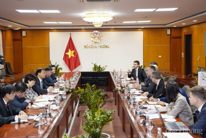 Vietnam y República Checa impulsan cooperación en fabricación de automóviles ảnh 2 Vietnam y República Checa impulsan cooperación en fabricación de automóviles ảnh 2