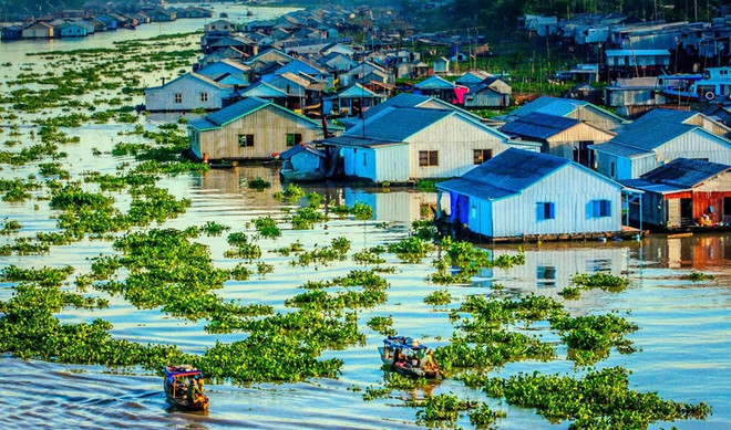 Exhortan en Vietnam a construir base de datos sobre protección ambiental en delta del Mekong ảnh 1 Exhortan en Vietnam a construir base de datos sobre protección ambiental en delta del Mekong ảnh 1