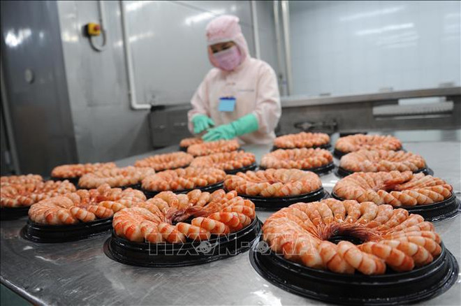 Industria de procesamiento de camarón de Vietnam trabaja por cumplir objetivo en 2021 ảnh 2 Industria de procesamiento de camarón de Vietnam trabaja por cumplir objetivo en 2021 ảnh 2
