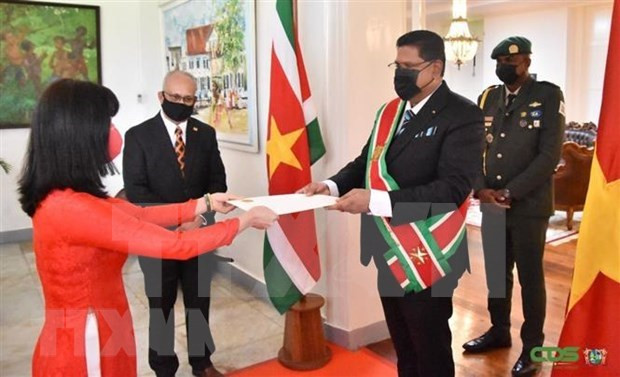 Vietnam y Surinam amplían relaciones bilaterales ảnh 1 Vietnam y Surinam amplían relaciones bilaterales ảnh 1