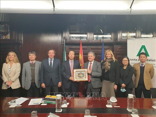 Promueven oportunidades de inversión en Vietnam para empresas españolas ảnh 2 Promueven oportunidades de inversión en Vietnam para empresas españolas ảnh 2