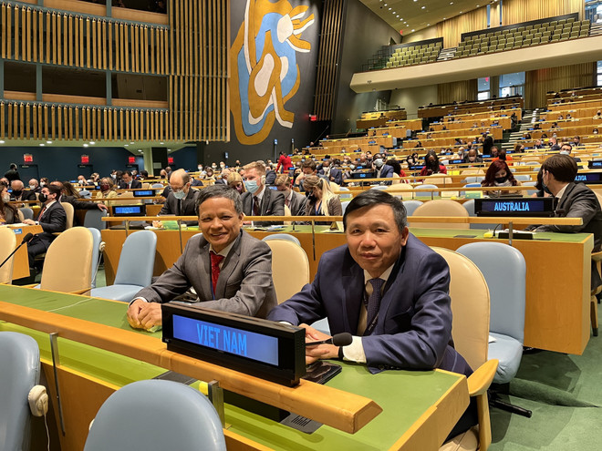 Vietnam es reelegido miembro de la Comisión de Derecho Internacional de la ONU ảnh 2 Vietnam es reelegido miembro de la Comisión de Derecho Internacional de la ONU ảnh 2