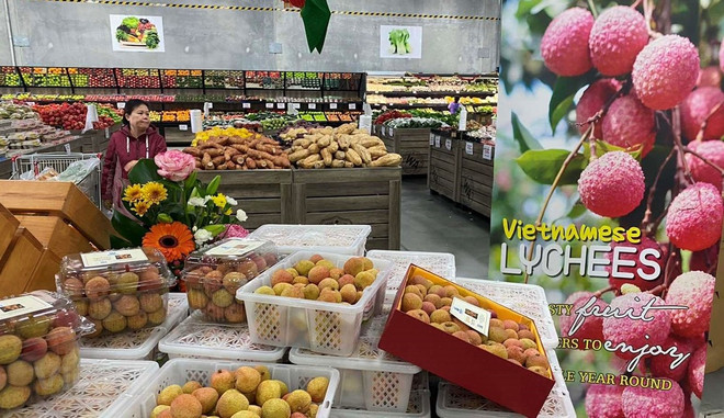 Exportaciones de productos agrícolas vietnamitas a Australia registran resultados positivos ảnh 1 Exportaciones de productos agrícolas vietnamitas a Australia registran resultados positivos ảnh 1