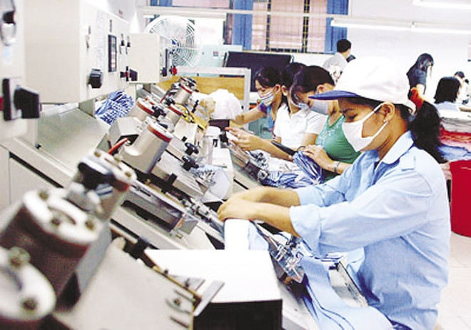 Empresas privadas en Vietnam muestran aumento en cantidad y calidad ảnh 1 Empresas privadas en Vietnam muestran aumento en cantidad y calidad ảnh 1
