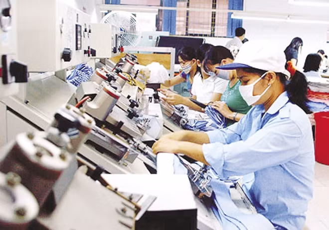 Empresas privadas en Vietnam muestran aumento en cantidad y calidad ảnh 1