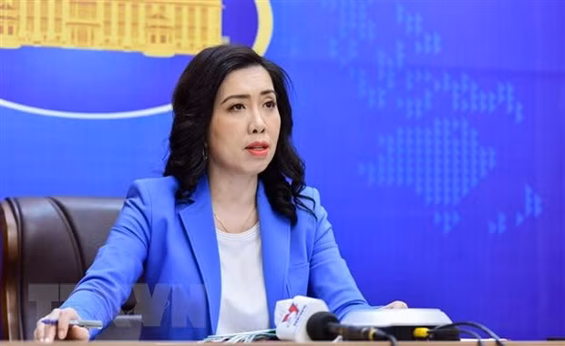 Aclara Cancillería de Vietnam asuntos de interés público ảnh 1