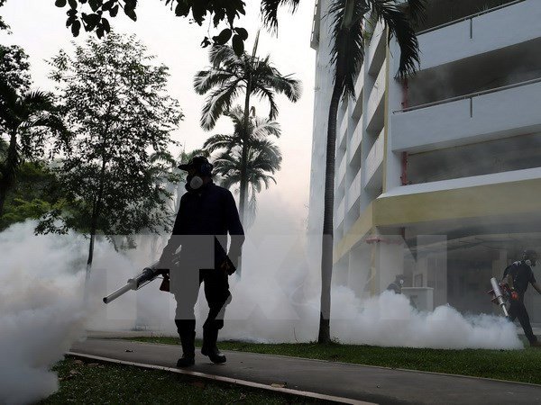 Singapur confirma 16 embarazadas infectadas por Zika ảnh 1 Singapur confirma 16 embarazadas infectadas por Zika ảnh 1